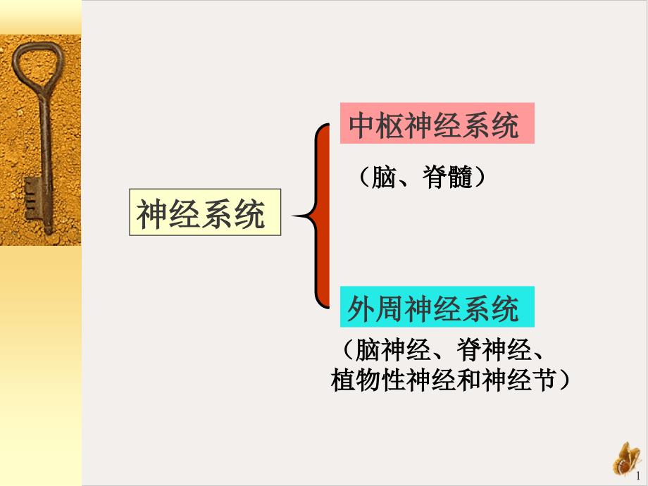 神经系统生化课件_第1页