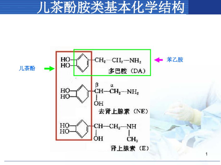 肾上腺素激动药PPppt课件_第1页