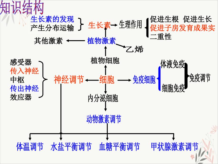 神经体液免疫调节 ppt课件_第1页