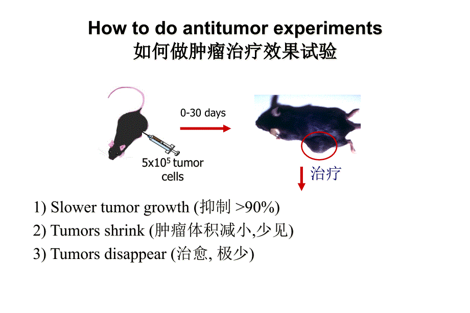 肿瘤免疫治疗的新思路课件_第1页