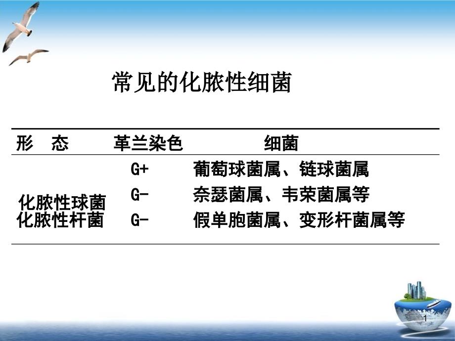 淋病奈瑟菌球形课件_第1页