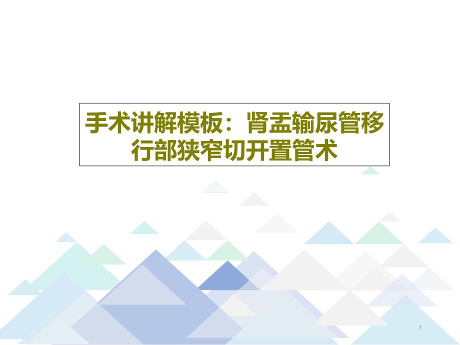 手术讲解模板肾盂输尿管移行部狭窄切开置管术课件_第1页