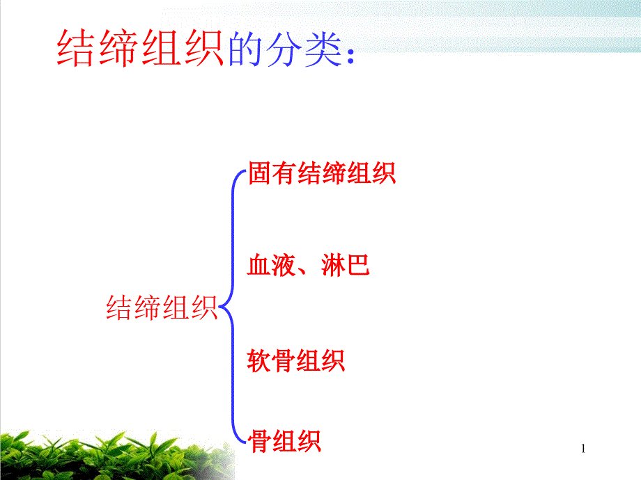 结缔组织软骨课件(模板)_第1页