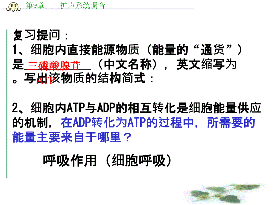 高中生物必修一教学ppt课件：第三节《ATP的主要来源—细胞呼吸》_第1页