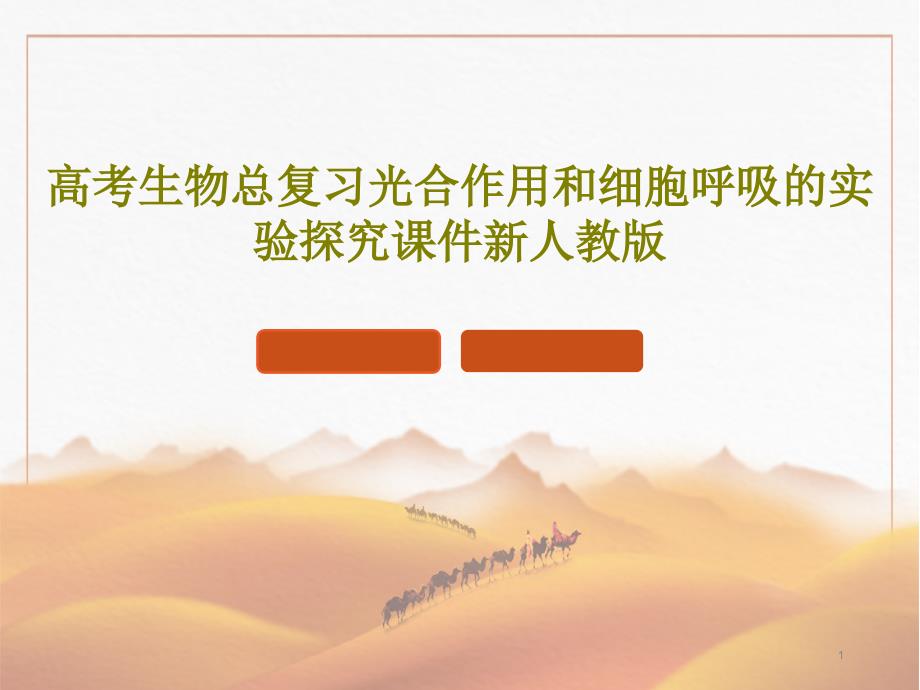 高考生物总复习光合作用和细胞呼吸的实验探究新人教版课件_第1页