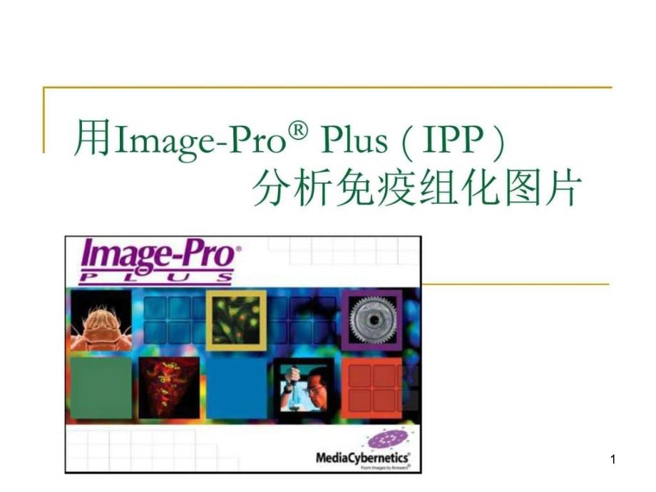 用ImageProPlus分析免疫组化图片课件_第1页