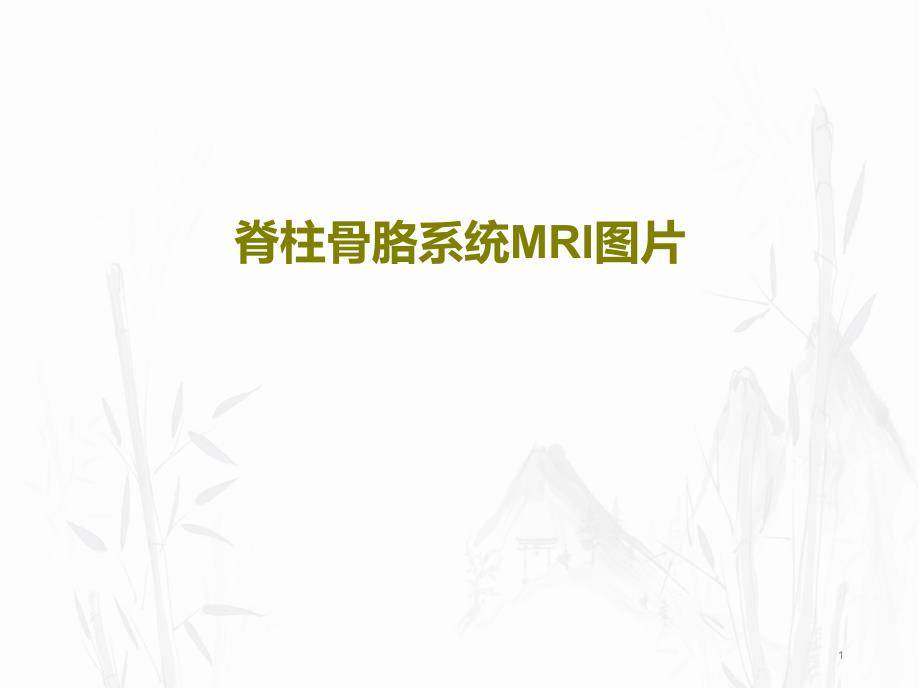 脊柱骨胳系统MRI图片课件_第1页