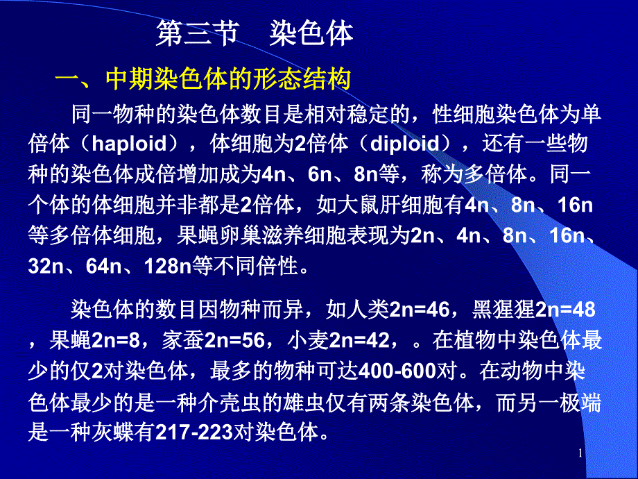 细胞核和染色体课件_第1页