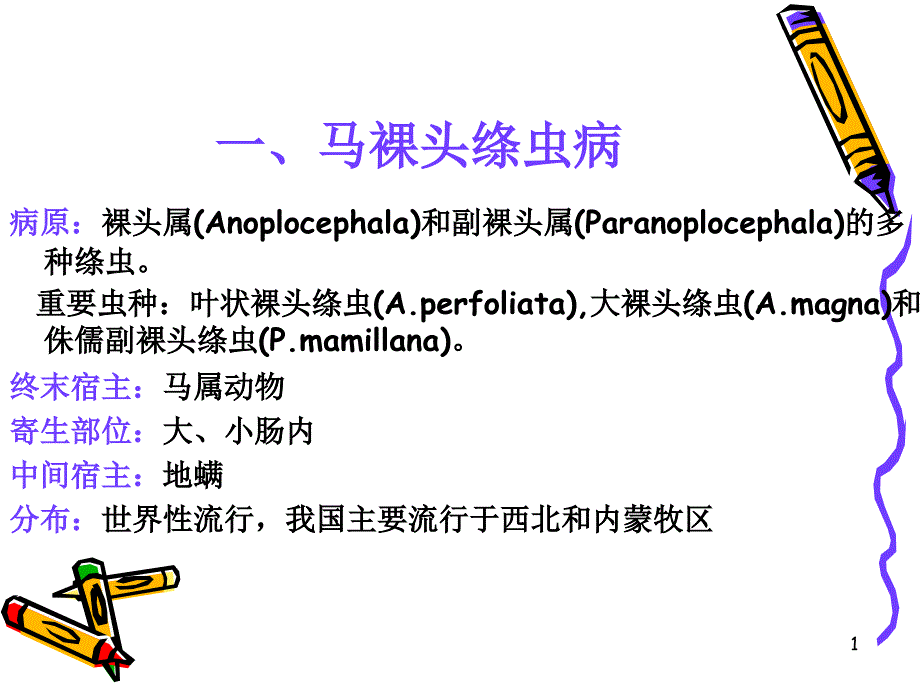 绦虫病裸头绦虫课件_第1页