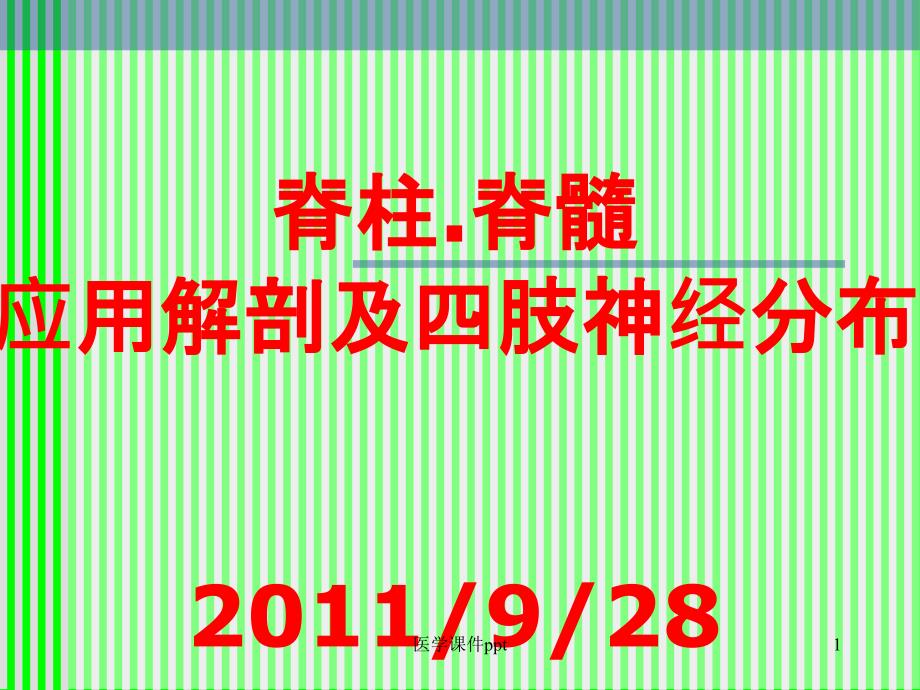 脊柱解剖与神经分布课件_第1页