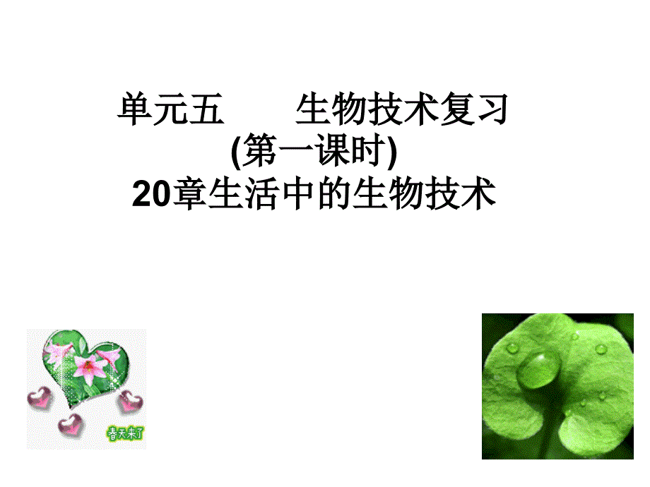 八年级生物日常生活中的生物技术_第1页