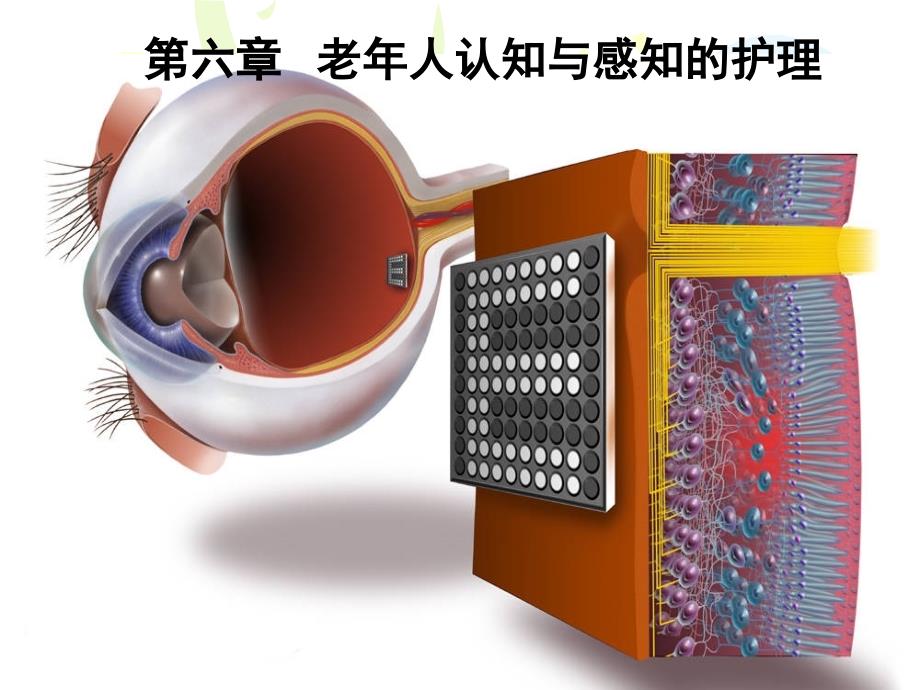 第六章老年人认知与感知护理课件_第1页