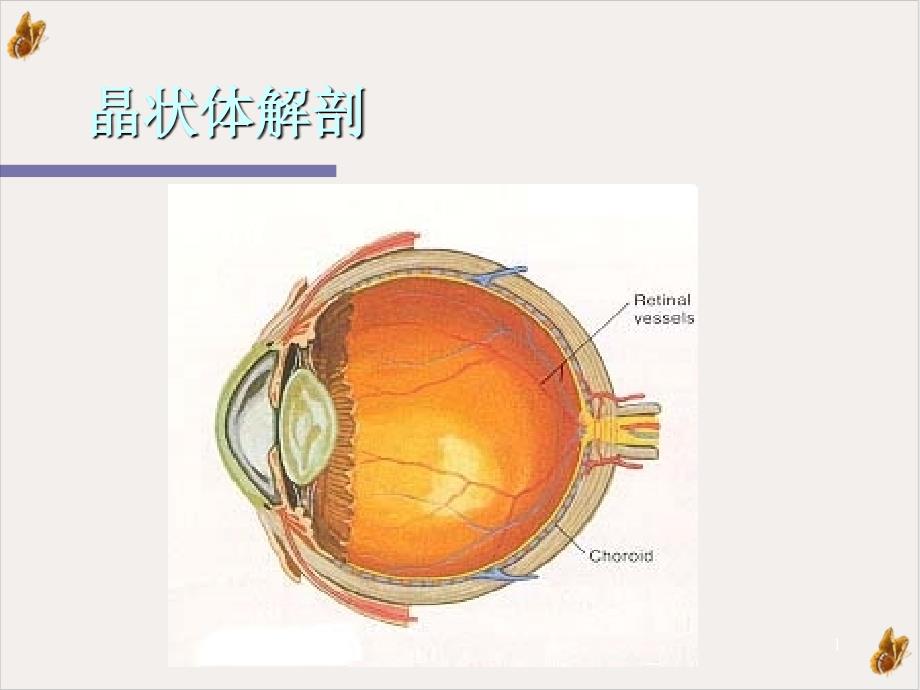 白内障讲课课件_第1页