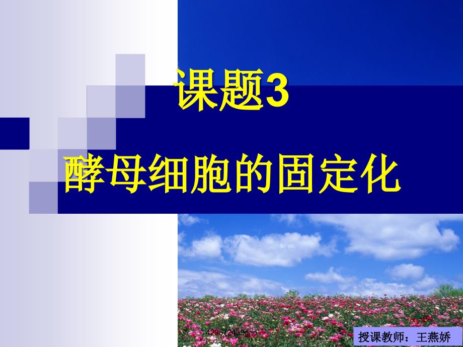 酵母细胞的固定化定ppt演讲教学课件_第1页