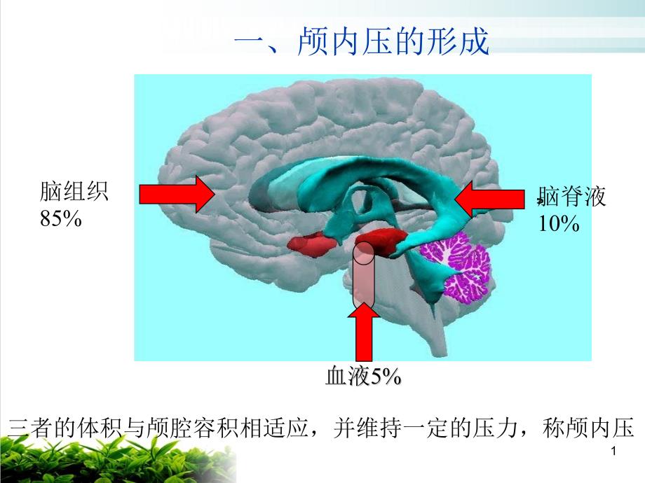 颅脑损伤病人颅内压升高原因分析及护理对策课件_第1页