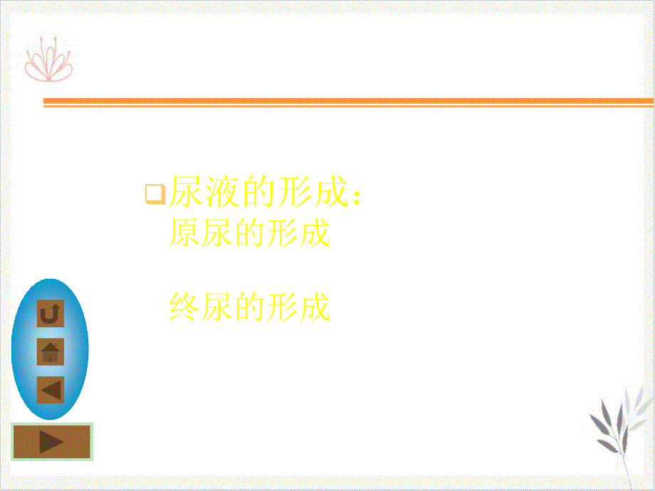 泌尿系统定稿课件_第1页