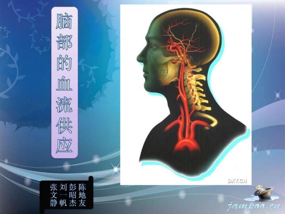 脑部的血管供应 ppt课件_第1页