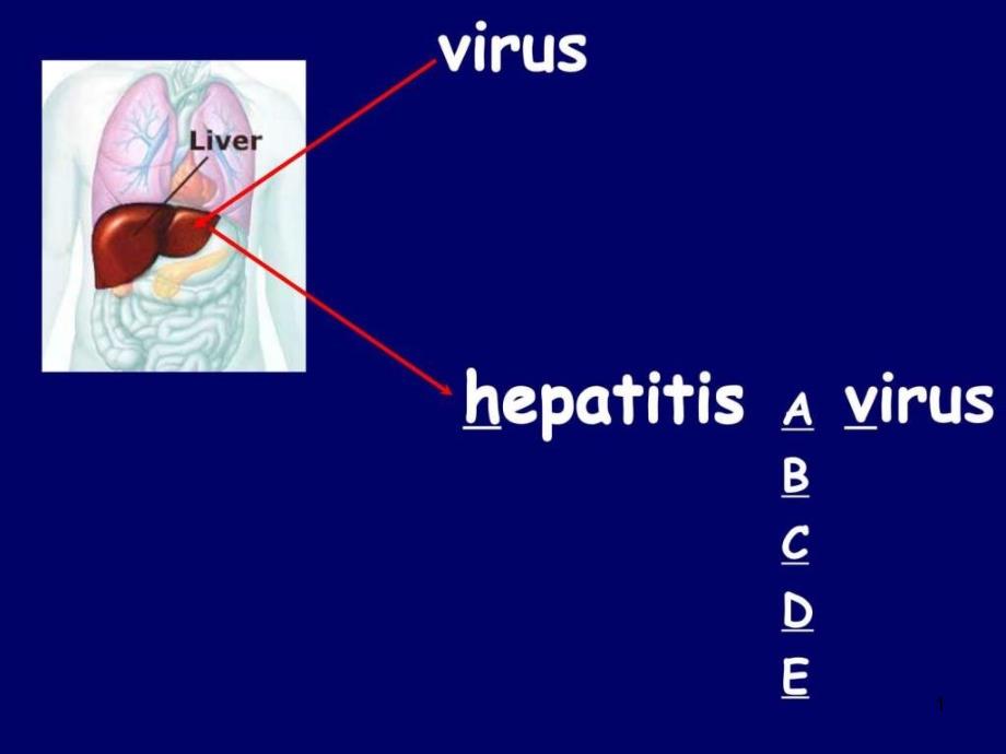 第25章 肝炎病毒课件_第1页