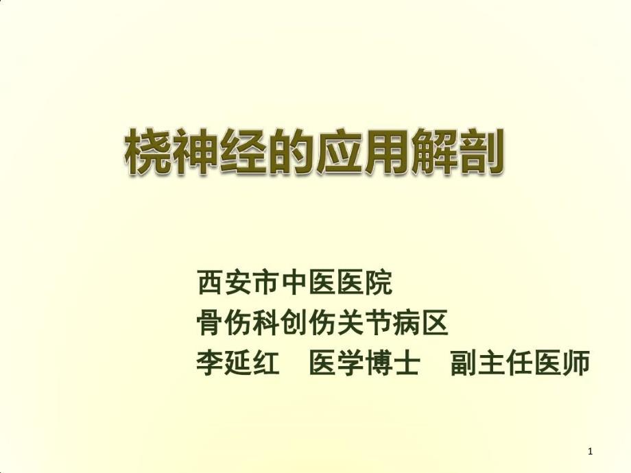 桡神经的应用解剖课件_第1页