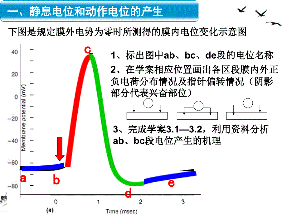 通过神经系统的调节复习好ppt课件_第1页