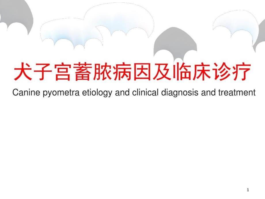 犬子宫蓄脓病因及临床诊疗课件_第1页