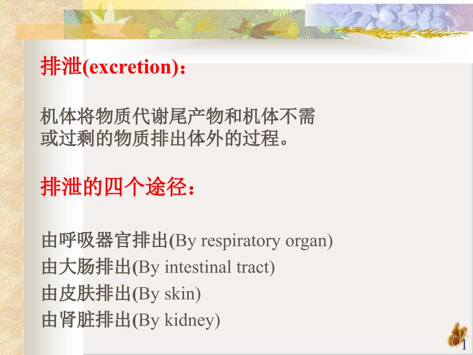 泌尿生理学培训ppt课件_第1页