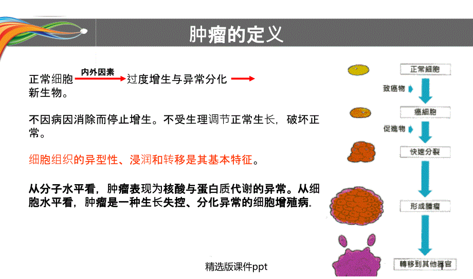 肿瘤及化疗基础知识课件_第1页