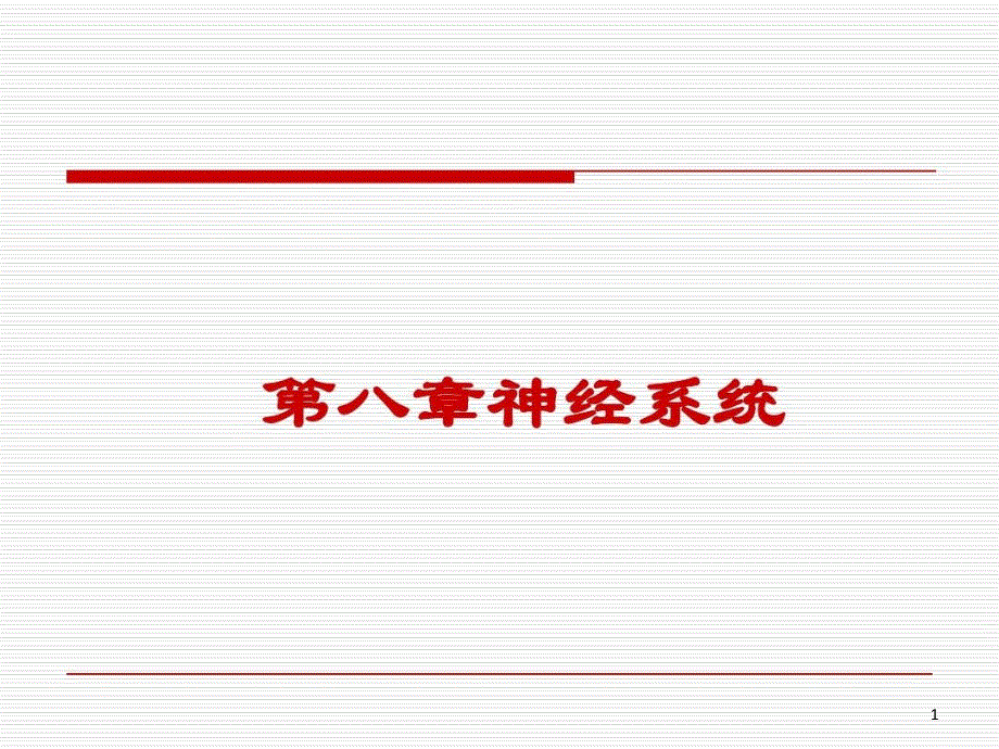 运动解剖神经系统课件_第1页