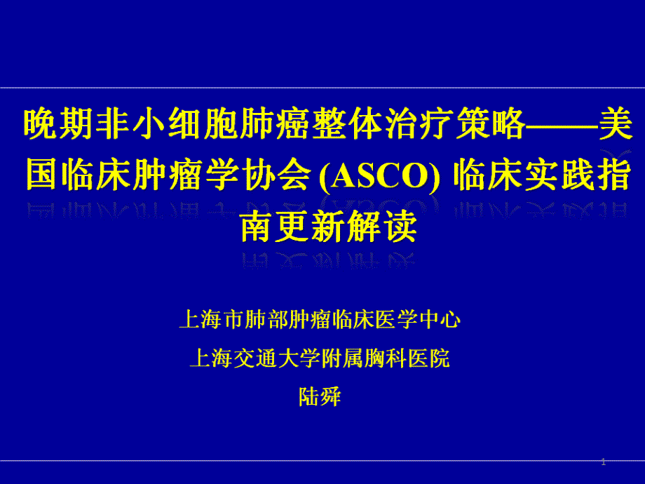 晚期非小细胞肺癌整体治疗策略课件_第1页