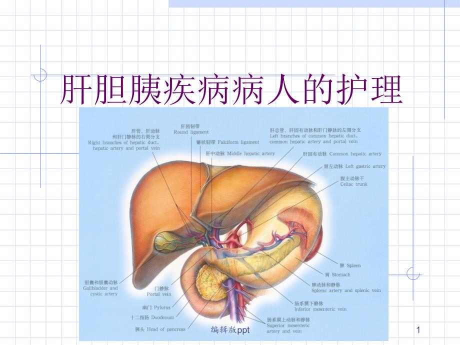 胆道疾病 课件_第1页