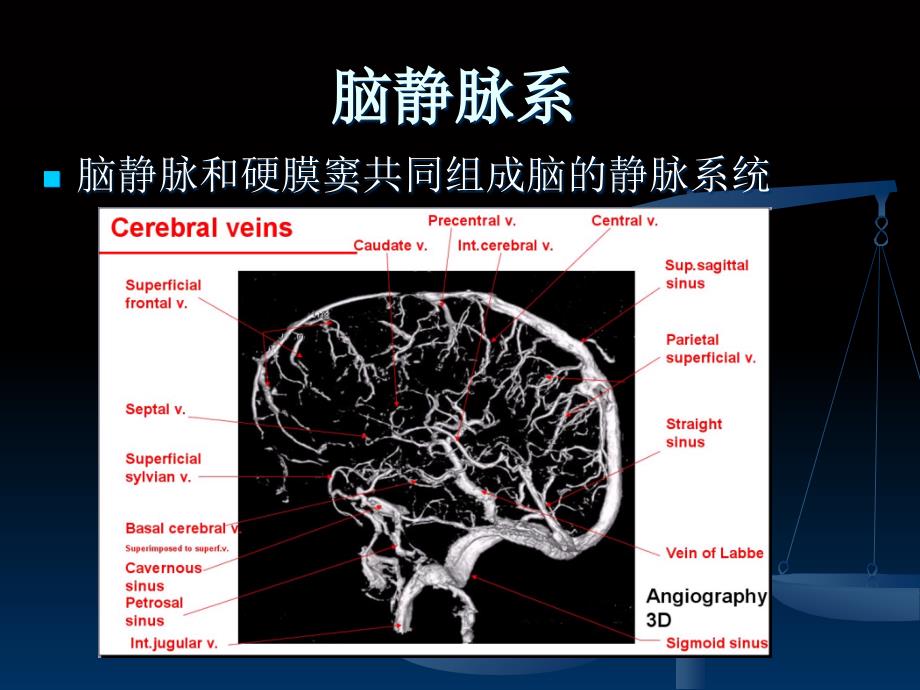 脑血管解剖(脑静脉系)课件_第1页