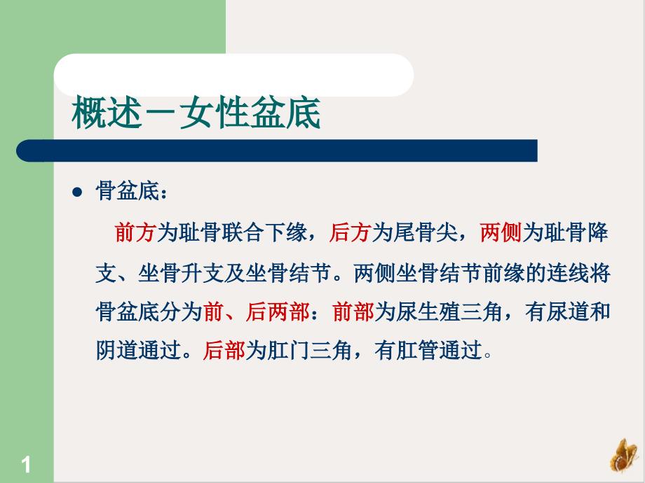 盆底功能障碍性疾病的治疗定稿课件_第1页