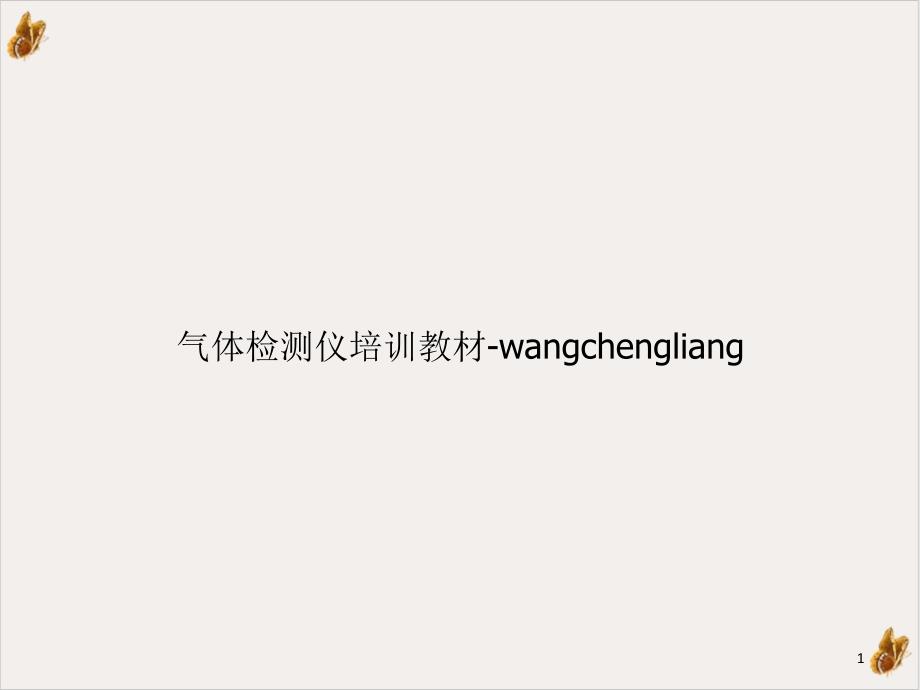 气体检测仪wangchengliang课件_第1页