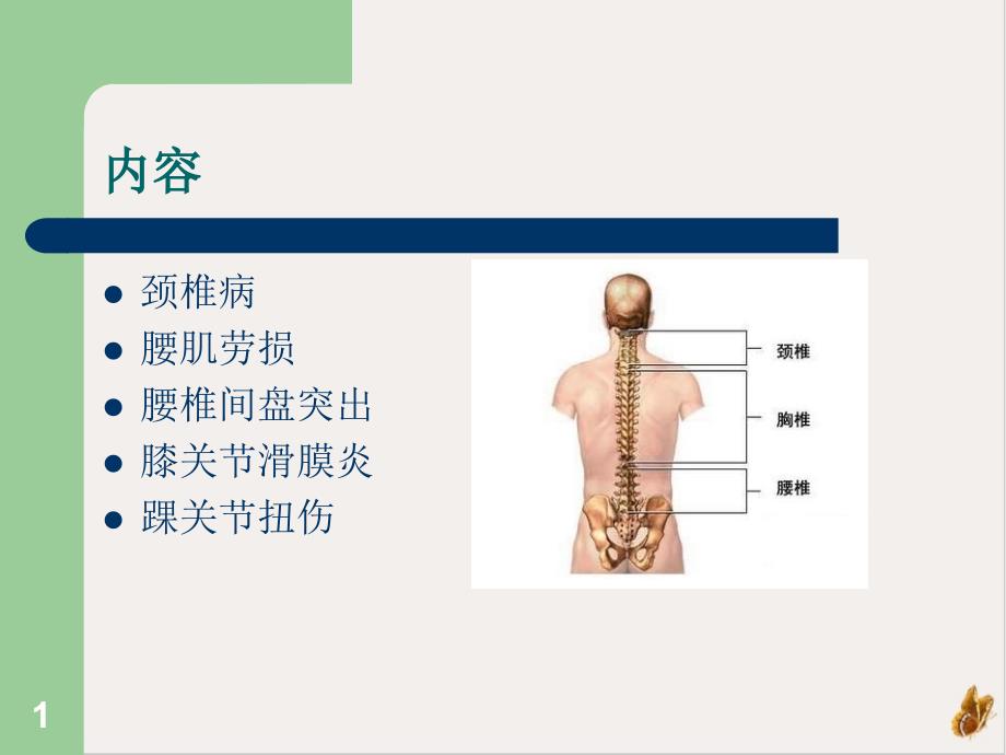 颈腰椎膝踝关节伤病的防治ppt课件_第1页