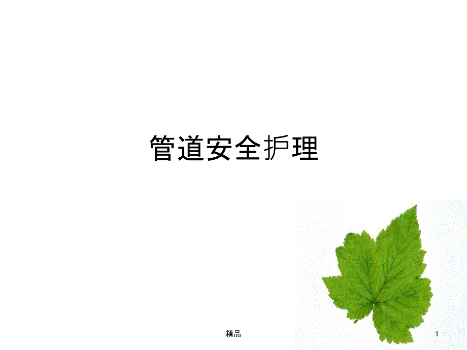 管道的安全护理课件_第1页