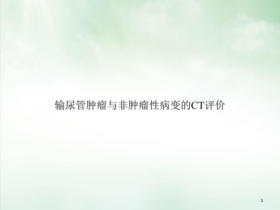 输尿管肿瘤与非肿瘤性病变的CT评价课件_第1页