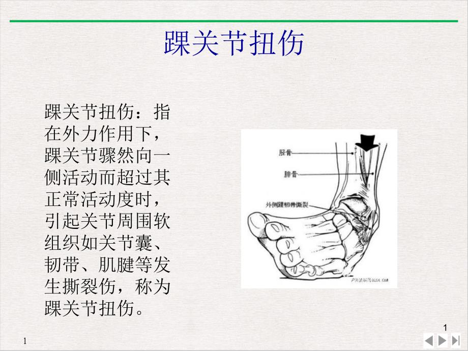 踝部疾病及手法标准ppt课件_第1页