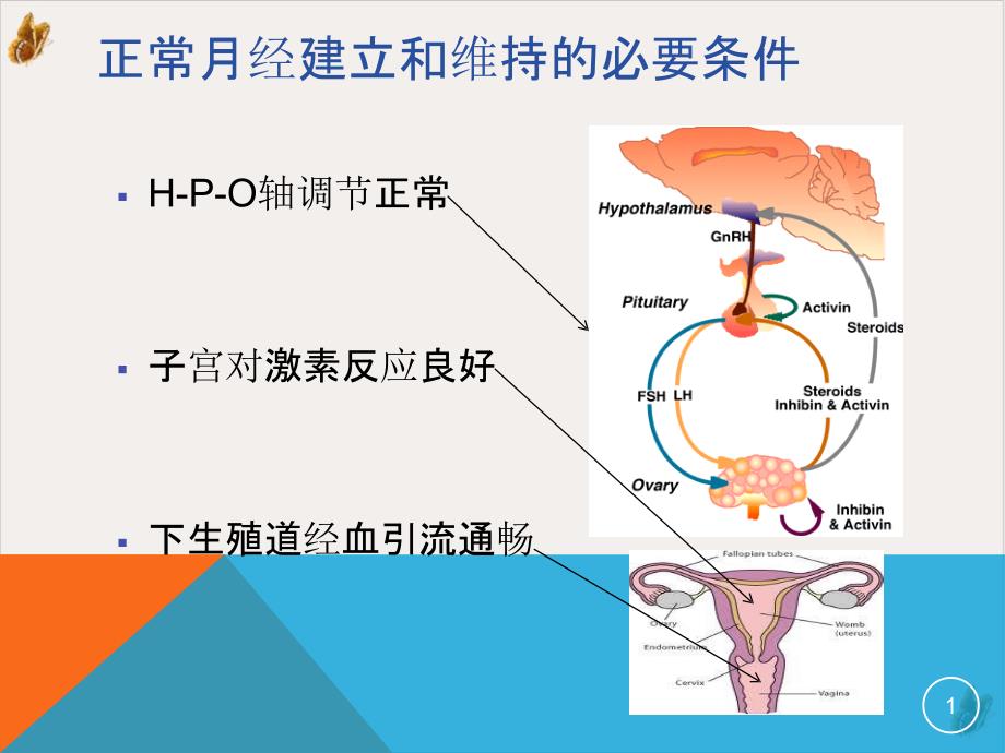 闭经的诊断和治疗 ppt课件_第1页