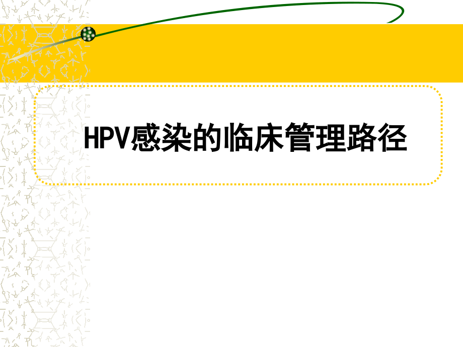 HPV感染治疗的临床管理路径ppt课件_第1页