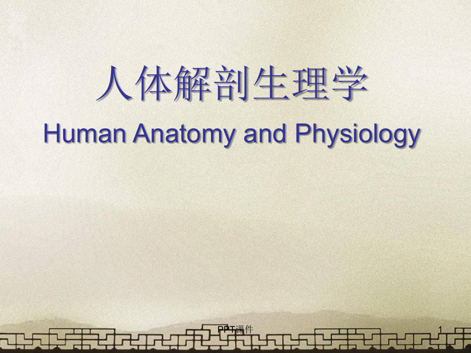 人体解剖生理学--课件_第1页