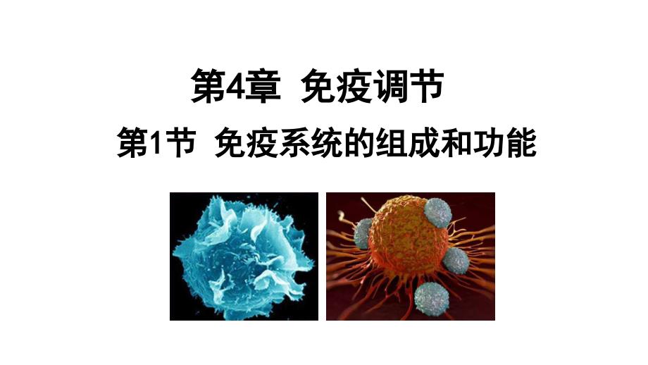 人教版新教材选择性必修一-41-免疫系统的组成和功能课件_第1页