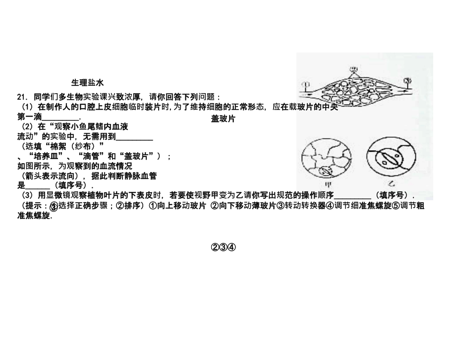 九年级生物期末复习课件_第1页