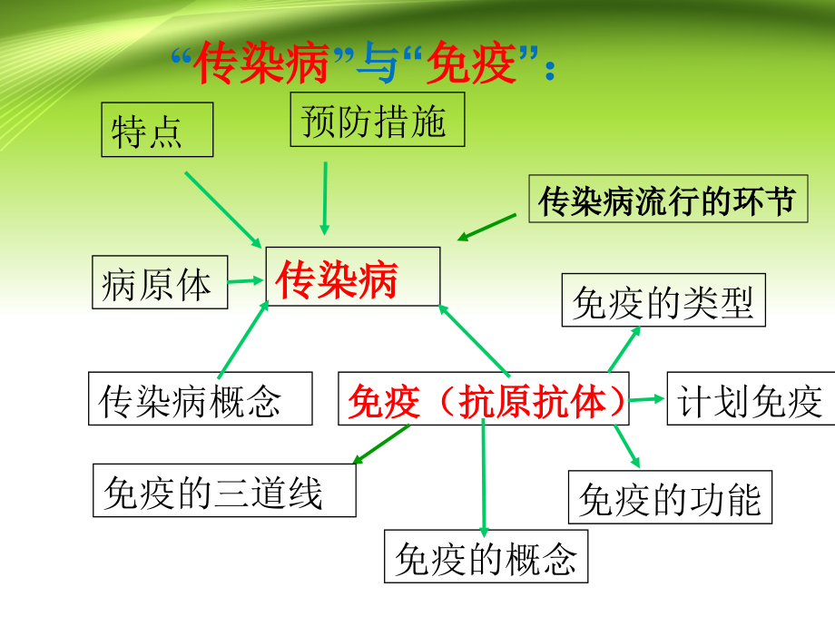 传染病与免疫复习 ppt课件_第1页