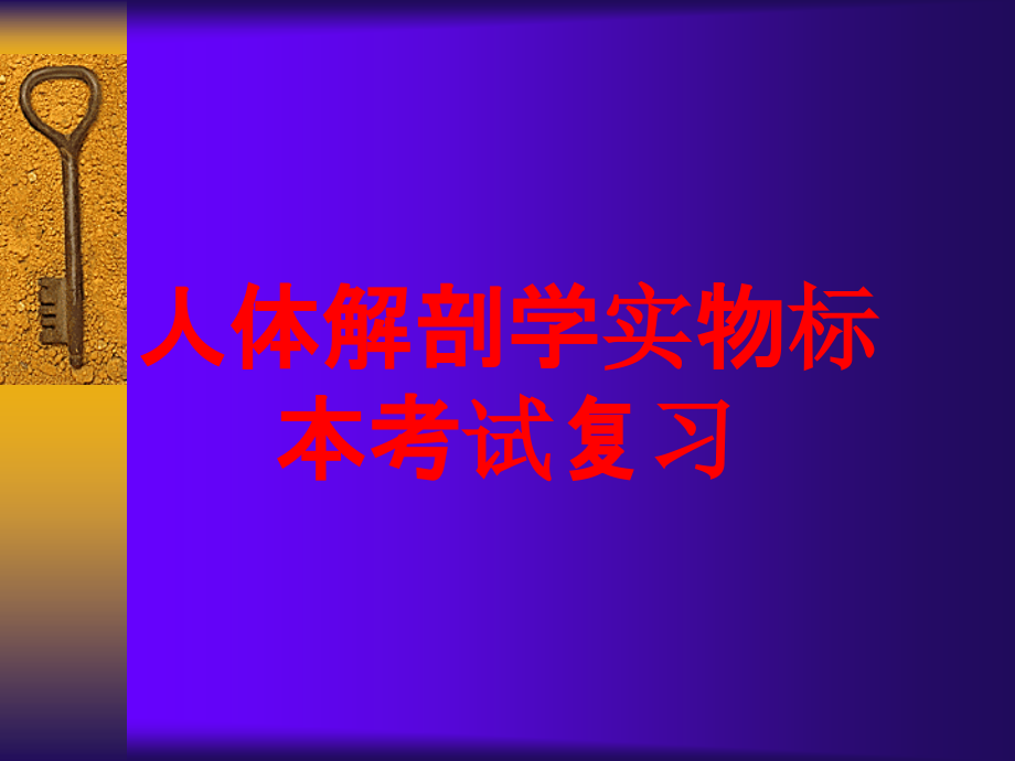 人体解剖学实物标本考试复习培训课件_第1页