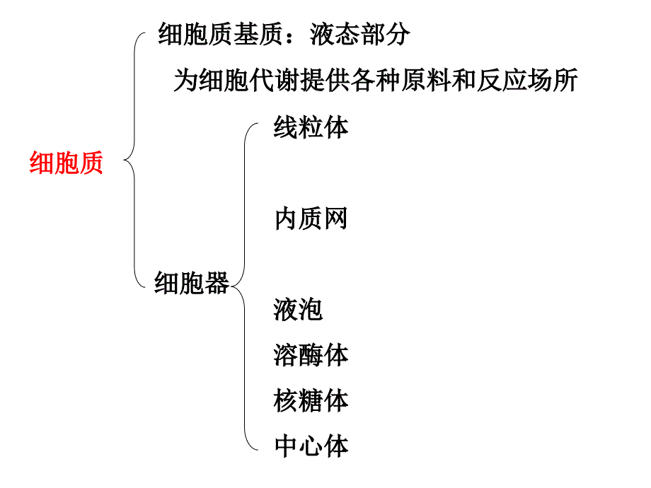 人教版必修一细胞器系统内的分工合作课件_第1页