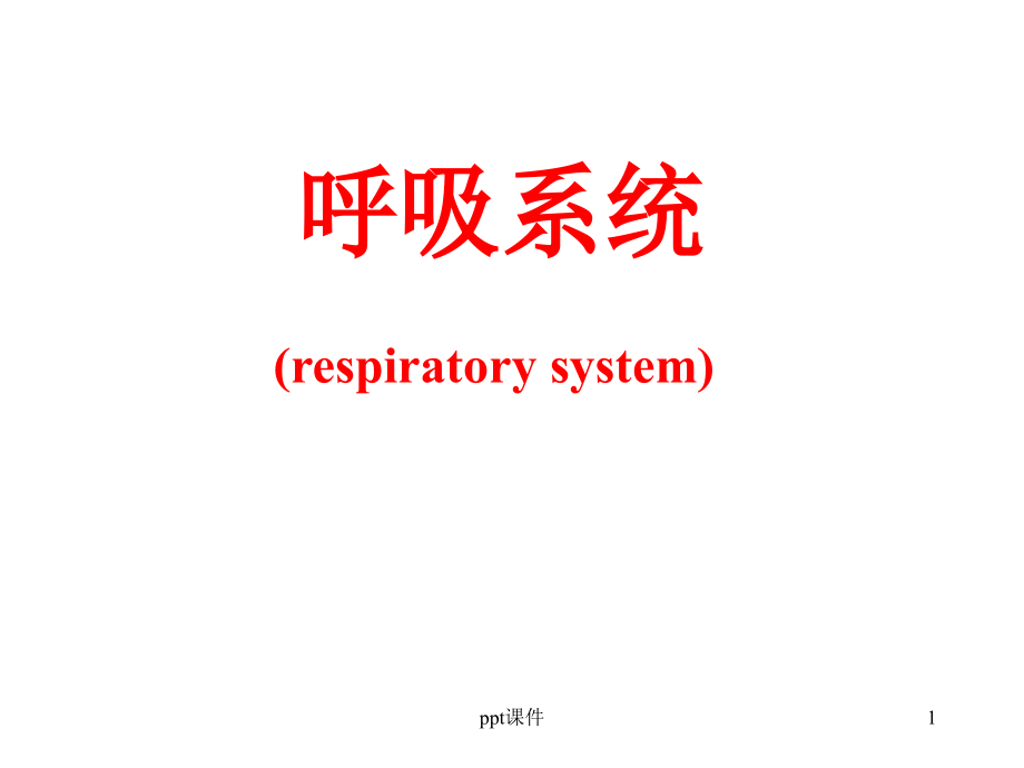 人体解剖学呼吸系统--课件_第1页