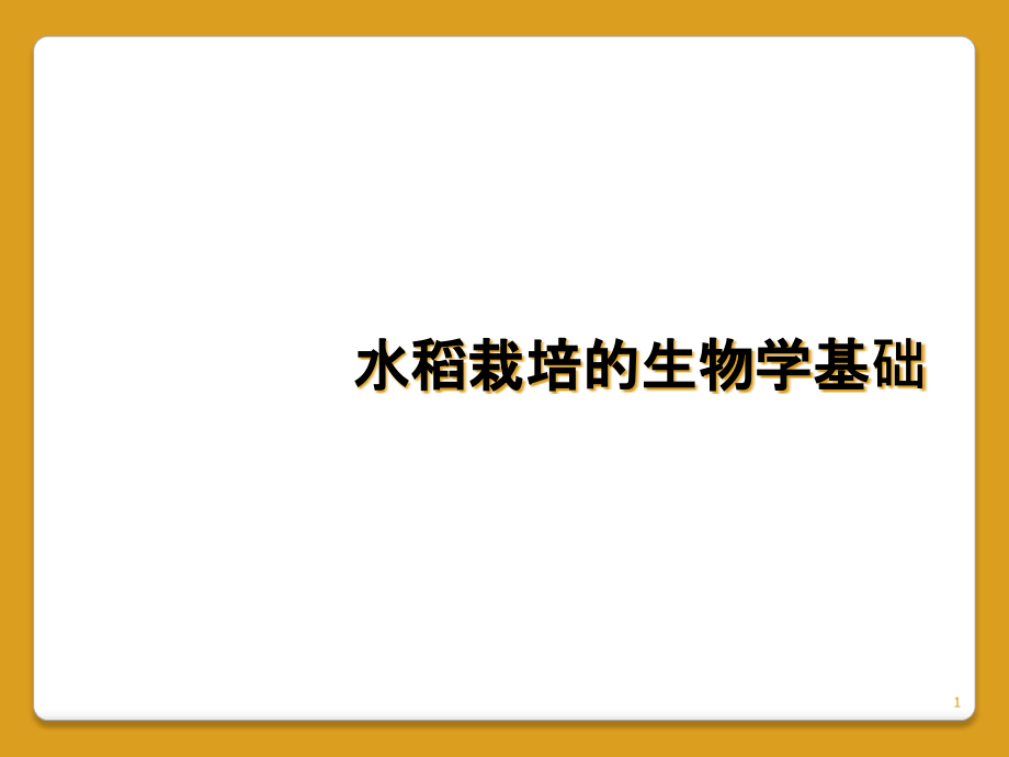 水稻栽培的生物学基础课件_第1页