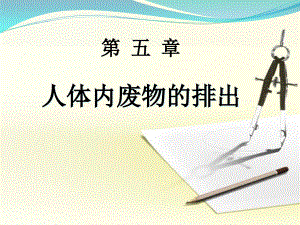 人教版七年級生物下冊《第五章人體內(nèi)廢物的排出》課件