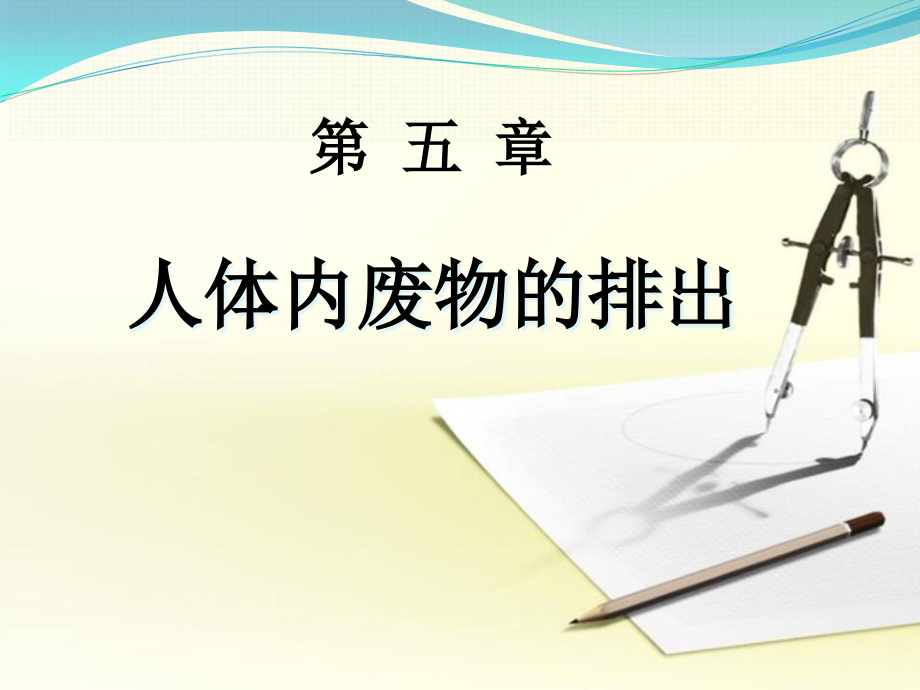 人教版七年級(jí)生物下冊(cè)《第五章人體內(nèi)廢物的排出》課件_第1頁(yè)