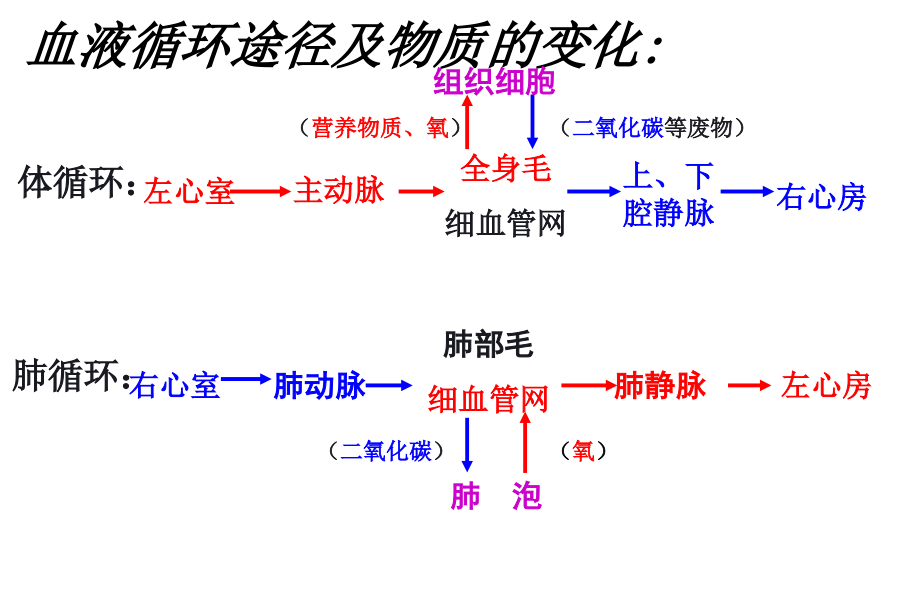 《輸血和血型》公開(kāi)課ppt課件_第1頁(yè)